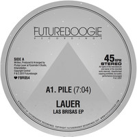Thumbnail for the Lauer - Pile link, provided by host site