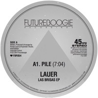 Thumbnail for the Lauer - Pile link, provided by host site