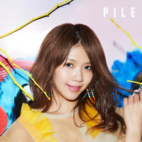 Thumbnail for the Pile - PILE link, provided by host site