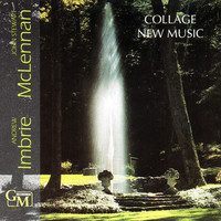Thumbnail for the Andrew Imbrie - Pilgrimage: I. Allegro con moto link, provided by host site