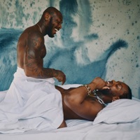 Thumbnail for the serpentwithfeet - PILLOW TALK link, provided by host site