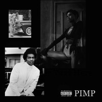 Thumbnail for the Darnell - Pimp link, provided by host site