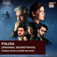 Thumbnail for the Hadiqa Kiani - Pinjra (Official Soundtrack) link, provided by host site