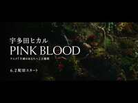 Thumbnail for the Hikaru Utada - 宇多田ヒカル『PINK BLOOD』 SPOT link, provided by host site