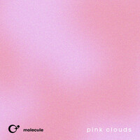 Thumbnail for the Molecule - Pink Clouds link, provided by host site