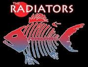 Thumbnail for the The Radiators - Pint's Pub link, provided by host site