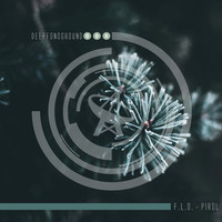 Thumbnail for the F.L.O. - Pirol link, provided by host site