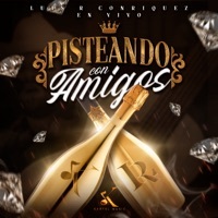 Thumbnail for the Luis R Conriquez - Pisteando Con Amigos (En Vivo) link, provided by host site