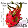 Thumbnail for the Stereotyp Monoton - Pitahaya link, provided by host site