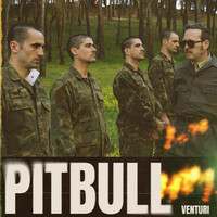 Thumbnail for the Venturi - Pitbull link, provided by host site