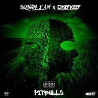Thumbnail for the Skengdo - Pitbulls link, provided by host site