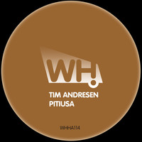 Thumbnail for the Tim Andresen - Pitiusa link, provided by host site