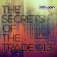Thumbnail for the Tuneon - Placebo link, provided by host site
