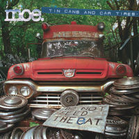 Thumbnail for the MOE - Plane Crash link, provided by host site