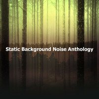Image of White Noise Sleep Sounds linking to their artist page due to link from them being at the top of the main table on this page