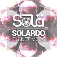 Thumbnail for the Solardo - Planet Moog link, provided by host site