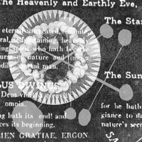 Thumbnail for the Blu - Planète link, provided by host site