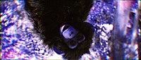 Thumbnail for the Everything Everything - Planets link, provided by host site
