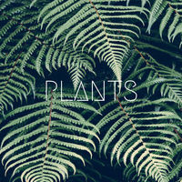 Thumbnail for the Jetsam - Plants link, provided by host site