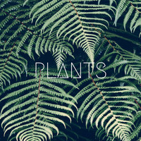 Thumbnail for the Jetsam - Plants link, provided by host site
