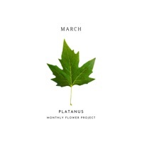 Thumbnail for the PERC%NT - Platanus link, provided by host site