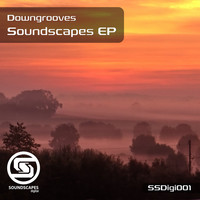 Thumbnail for the Downgrooves - Platforms - Original Mix link, provided by host site