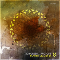 Thumbnail for the RoyGreen - Platten Digger link, provided by host site