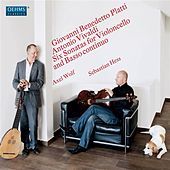 Thumbnail for the Sebastian Hess - Platti & Vivaldi: 6 Sonatas for Cello & Basso Continuo link, provided by host site