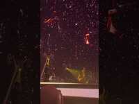 Thumbnail for the U2 - Play "Who's Gonna Ride Your Wild Horses" at Sphere #u2 #lasvegas link, provided by host site
