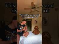 Thumbnail for the Matt Cooper - Playing guitar for my new pup for the first time… link, provided by host site