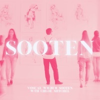 Thumbnail for the Wilbur Soot - Playthatback link, provided by host site