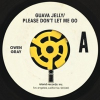 Thumbnail for the Owen Gray - Please Don't Let Me Go link, provided by host site