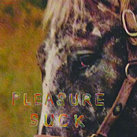 Image of Spirit of the Beehive linking to their artist page due to link from them being at the top of the main table on this page