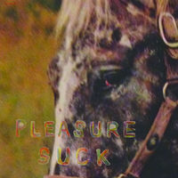 Thumbnail for the Spirit of the Beehive - Pleasure Suck link, provided by host site