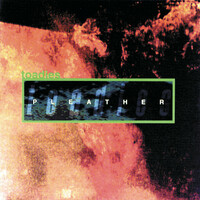 Image of Toadies linking to their artist page due to link from them being at the top of the main table on this page
