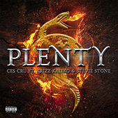 Thumbnail for the CES Cru - Plenty link, provided by host site