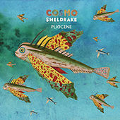 Thumbnail for the Cosmo Sheldrake - Pliocene link, provided by host site