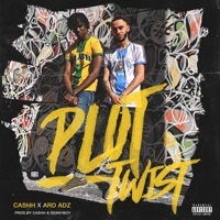 Thumbnail for the Cashh - Plot Twist link, provided by host site