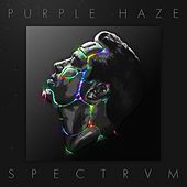 Thumbnail for the Purple Haze - Plum link, provided by host site