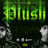 Thumbnail for the Herencia de Patrones - Plush link, provided by host site