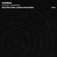 Thumbnail for the Desaturate - Pocket Universe - Rick Pier O'Neil & Desaturate Remix link, provided by host site