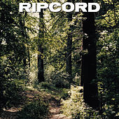 Thumbnail for the Ripcord - Poetic Justice link, provided by host site
