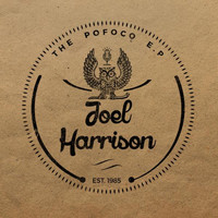 Thumbnail for the Joel Harrison - PoFoCo link, provided by host site