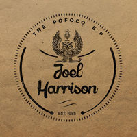 Thumbnail for the Joel Harrison - PoFoCo link, provided by host site