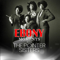 Thumbnail for the The Pointer Sisters - Pointer Sisters Interview (Live Interview) link, provided by host site