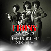 Thumbnail for the The Pointer Sisters - Pointer Sisters Interview (Live Interview) link, provided by host site