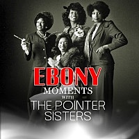 Thumbnail for the The Pointer Sisters - Pointer Sisters Interview - Single (Live Interview) link, provided by host site