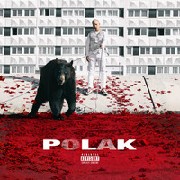 Thumbnail for the PLK - Polak link, provided by host site