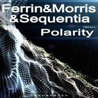 Thumbnail for the Ferrin & Morris - Polarity link, provided by host site