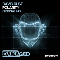 Thumbnail for the David Rust - Polarity link, provided by host site
